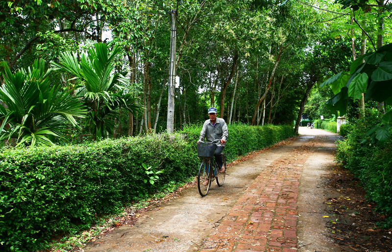 Thừa Thiên Huế: Bình yên làng cổ Phước Tích