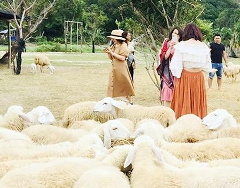 Khai thác tiềm năng, lợi thế từ nông nghiệp, nông thôn