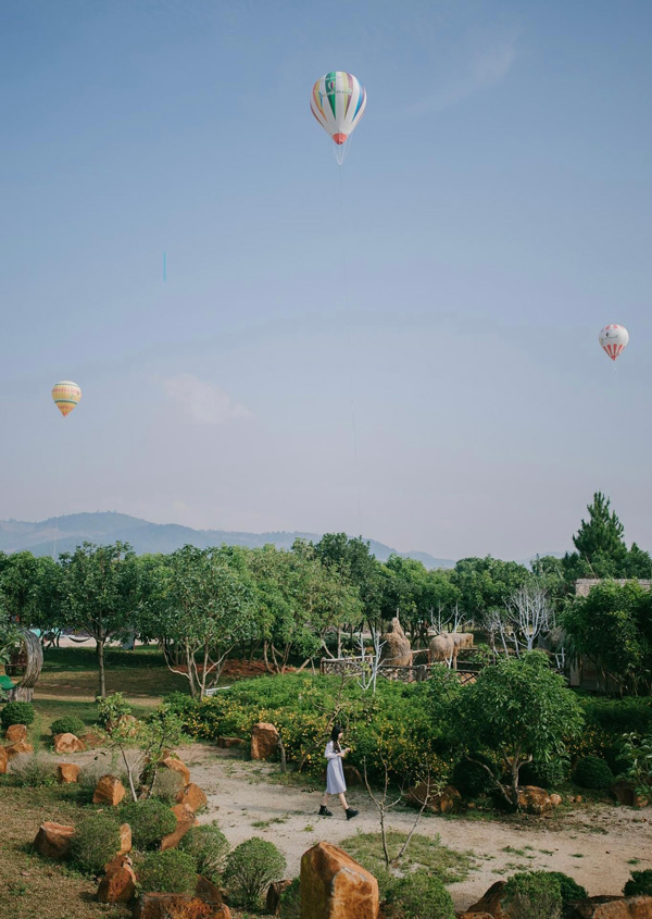 Đà Lạt (Lâm Đồng) lần đầu tổ chức Lễ hội Khinh khí cầu