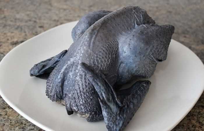 Lẩu gà đen pate