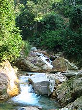 Một thoáng A-Nô (Huế)