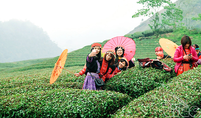 Mộc Châu – Điểm đến ấn tượng trong hành trình khám phá vòng cung Tây Bắc