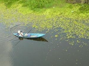 Câu cá ở vùng U Minh Thượng. (Nguồn: Dân Trí)