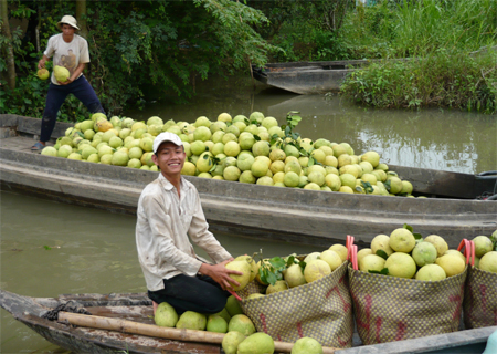 Huyện Cầu Kè (Trà Vinh): Nâng cao hiệu quả kinh tế vườn gắn với du lịch sinh thái, văn hóa truyền thống