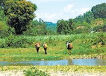 Khám phá Khánh Sơn (Khánh Hòa)