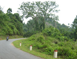 Kim Quan - Điểm du lịch văn hóa, lịch sử hấp dẫn ở Tuyên Quang