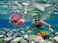 Vinadive (Vietravel): Khuyến mãi cho khách lặn biển