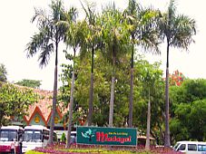 “Khám phá Khu du lịch rừng Madagui”