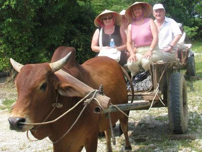 Ninh Bình hướng nông dân làm du lịch