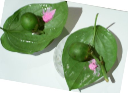 Lần đầu tiên tổ chức Cuộc thi viết về phong tục cưới hỏi ở các vùng miền Việt Nam