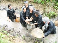 Về Vĩnh Long đi tour 