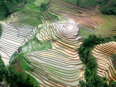 Kỳ thú ruộng bậc thang, Lào Cai