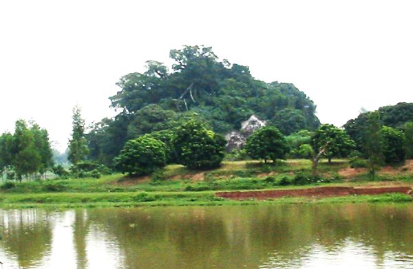 0-aa0nuingoc.jpg