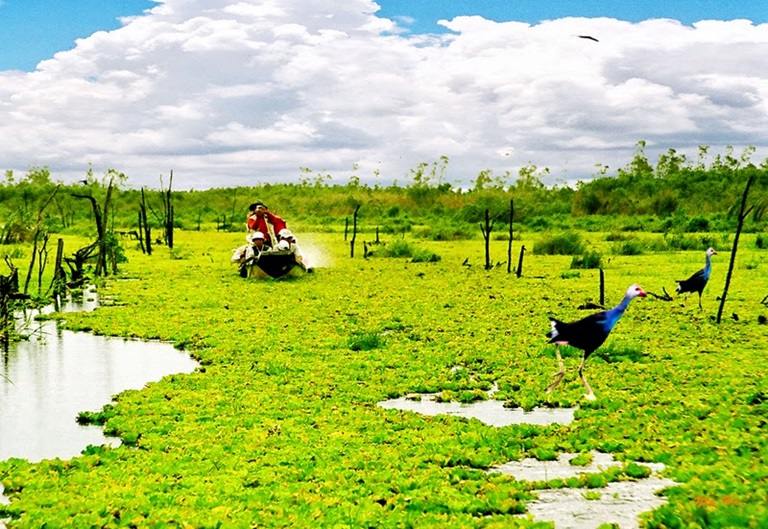 Cảnh đẹp Cà Mau 