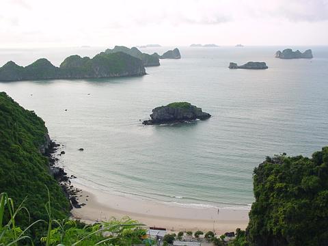 Ảnh minh họa