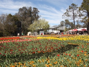 Lễ hội hoa Floriade tại thủ đô Canberra. (Ảnh: Võ Giang/Vietnam+)