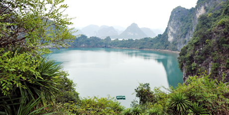 Những áng, hồ như Mê Cung không chỉ có cảnh quan thiên nhiên tuyệt đẹp mà còn có hệ sinh thái phong phú.