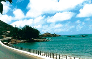 Bãi Dứa