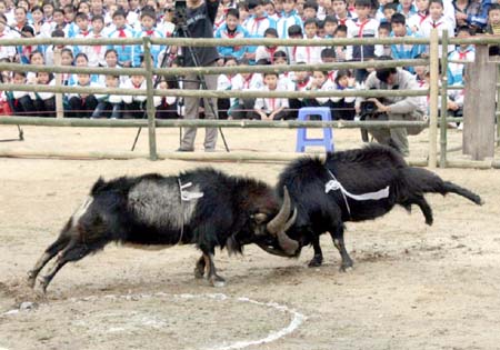 Một pha đấu quyết liệt. Ảnh: Huy Toán