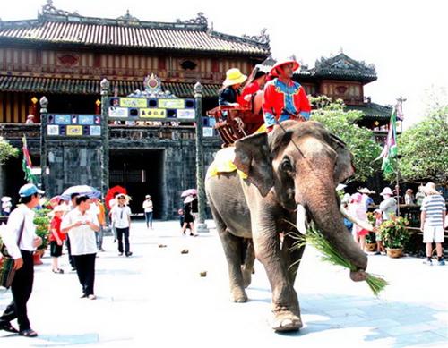 Dịch vụ cưỡi voi