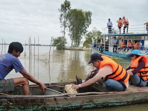 (Nguồn: thesaigontimes.vn)