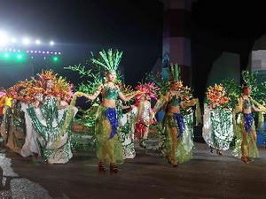 Lễ hội đường phố tại Carnival. (Ảnh: Quốc Khánh/TTXVN)