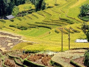 (Ảnh minh họa: Minh Quyết/TTXVN)