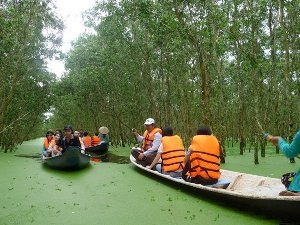 Khách thăm quan rừng tràm Trà Sư. (Nguồn: Internet)
