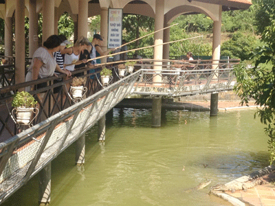 Câu cá sấu ở khu du lịch Yang Bay